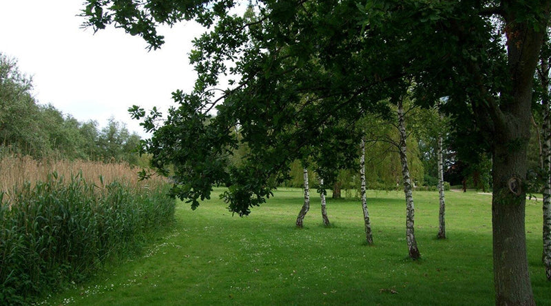 北欧流バイオフィリックデザイン：「自然とともに暮らす」北欧が教えてくれる、快適で持続可能な住まいのヒント｜北欧インテリア通販サイト greeniche（グリニッチ）