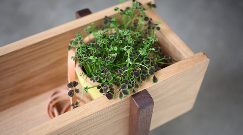 日用品愛好家、greenicheと出会う。〈Planter wide編〉｜北欧インテリア通販サイト greeniche（グリニッチ）