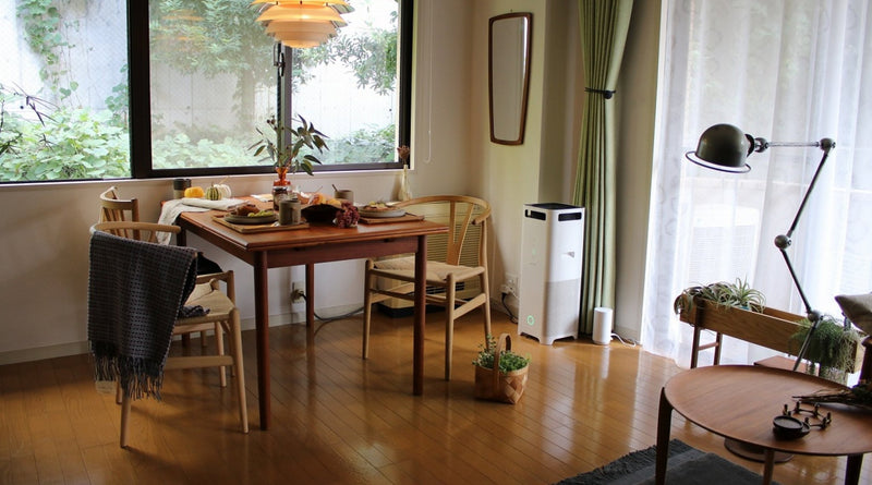 Ｙ-chair 3+1 campaign（~11.04 mon）｜北欧インテリア通販サイト greeniche（グリニッチ）