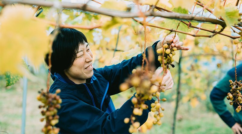 「美味しいものを、この先もずっと」　ぶどう農家・古谷さんの持続可能なものづくり｜北欧インテリア通販サイト greeniche（グリニッチ）