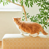 Luu Sofa cat life model【minä perhonen】 | オーク/ウォルナット/アッシュ無垢材