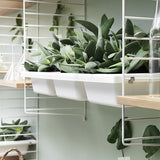 【日本代理店】String スウェーデン製 シェルフシステム サイドフレーム75×30 (追加用1枚)