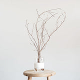 Odai ヒメシャラ ディフューザーセット - 北欧家具 北欧インテリア通販サイト greeniche (グリニッチ)