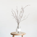 Odai イヌシデ ディフューザーセット - 北欧家具 北欧インテリア通販サイト greeniche (グリニッチ)