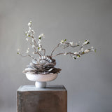 101 COPENHAGEN【日本代理店】デンマークデザイン Baburu Bowl Medio Bone White