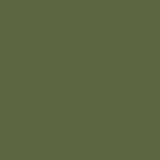 Yチェア（ワイチェア）CH24 soft olive green | Hans. J. Wegner (ハンス・J・ウェグナー) カール・ハンセン＆サン【正規販売店】デンマークデザイン