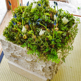 101 COPENHAGEN 【日本代理店】デンマークデザイン Temple Coffee Table Low Limestone