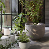 &Tradition Lucca SC51 Moss