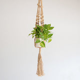 【50%OFF】 ジュート プラントハンガー