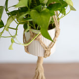 【50%OFF】 ジュート プラントハンガー