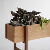 Planter wide | オーク/ウォルナット無垢材