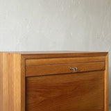 Vintage 蛇腹 Cabinet D-R612D329F