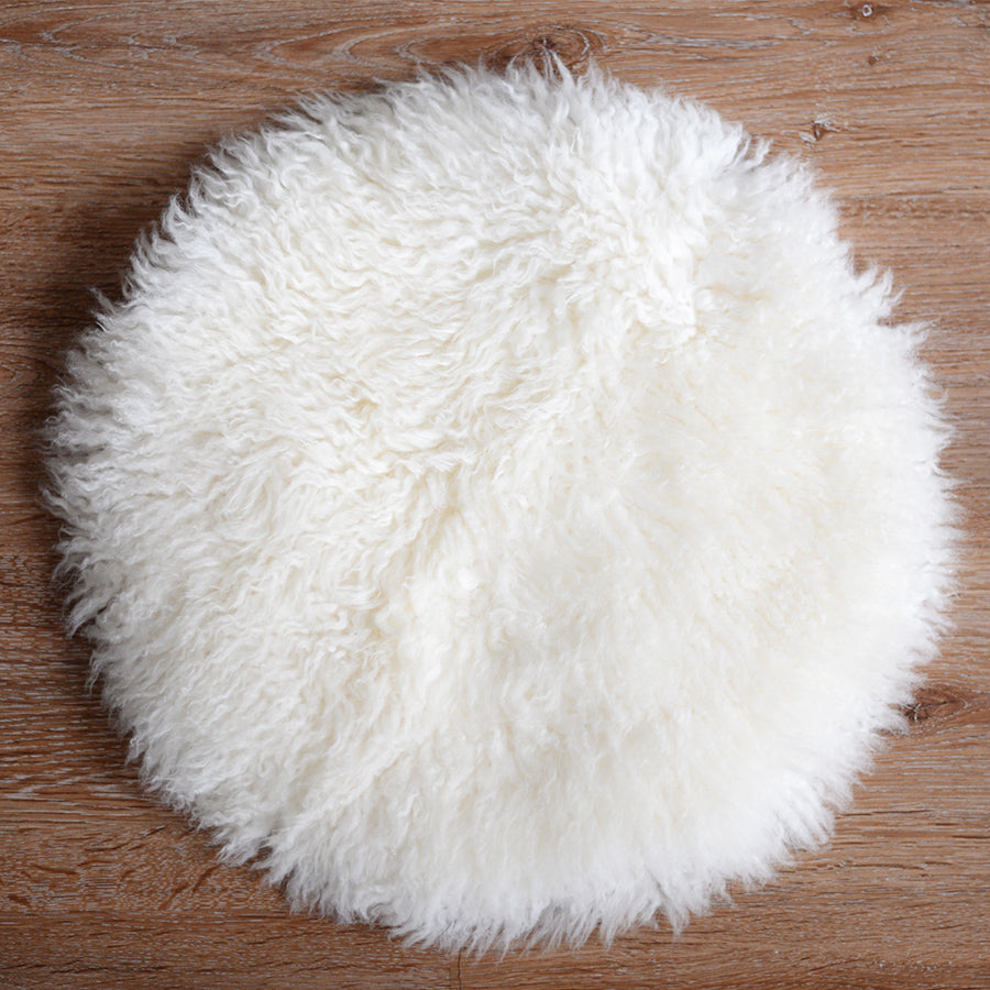 WOOL シートクッション ウォークアバウト