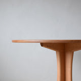 【モーエンセンDVDプレゼント】Svendborg (スヴェンボー) × Fredericia J39 2脚セット