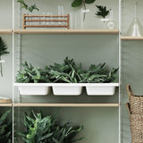 【日本代理店】String スウェーデン製 System ボウルシェルフ