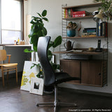 【日本代理店】String スウェーデン製 String System BASIC DESKSYSTEM