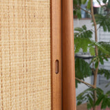 Hans J. Wegner RY20 Cabinet D-209D500