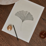 【10％OFF】THE POSTER CLUB Ana Frois, Grinko Leaf